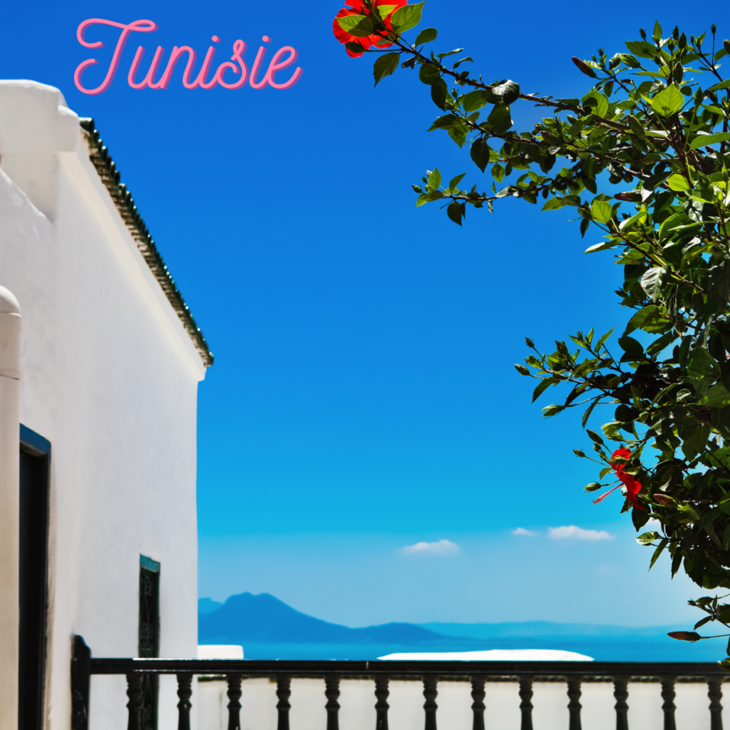 Terrasse tunisienne avec vue sur la mer Méditerranée.